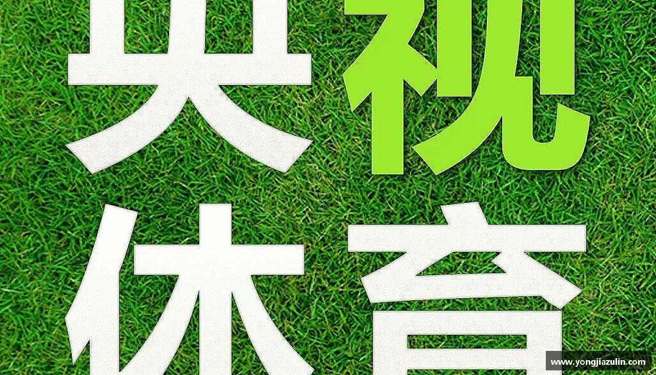 超越极限，描绘激情